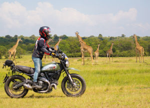 ducati_scrambler_kenia-y-jirafas