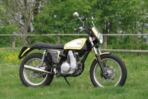 Borile Scrambler 450