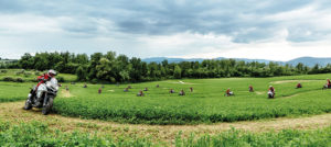 Al parco giochi con la Ducati Multistrada 1200 Enduro